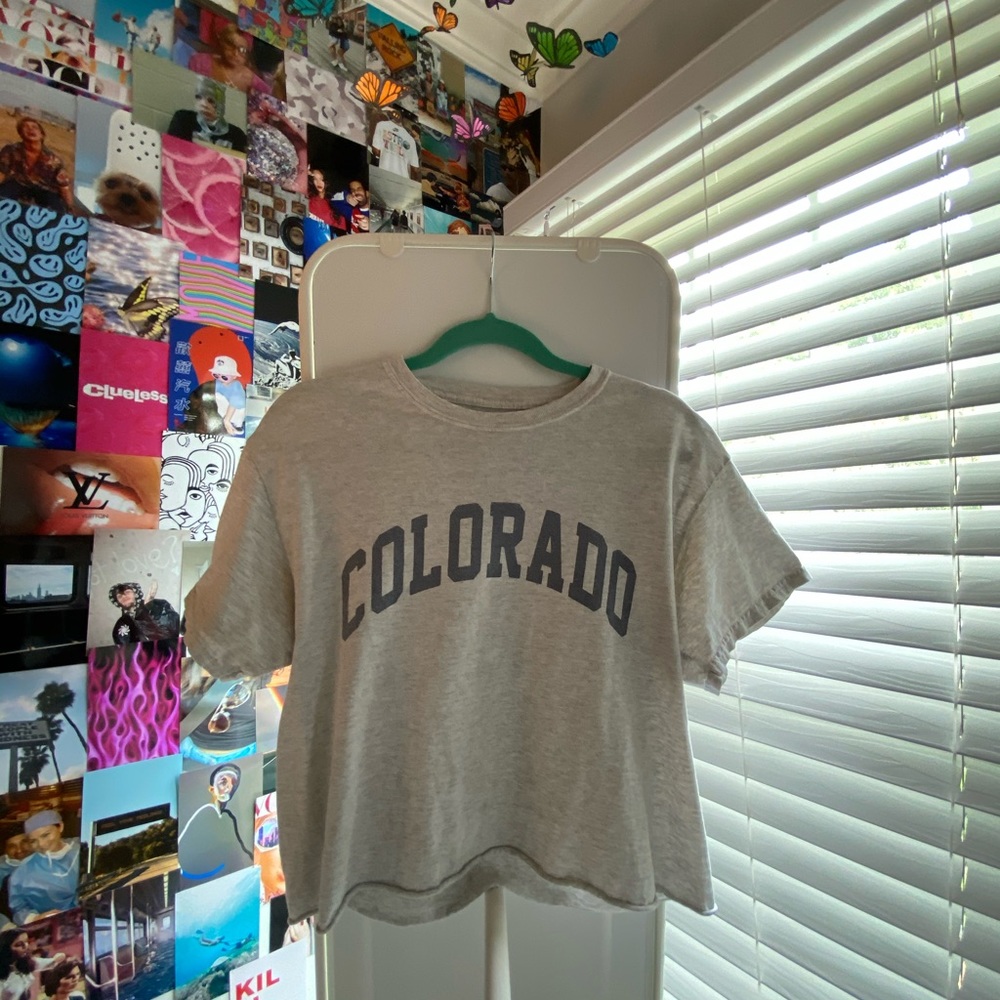 brandy melville colorado crop